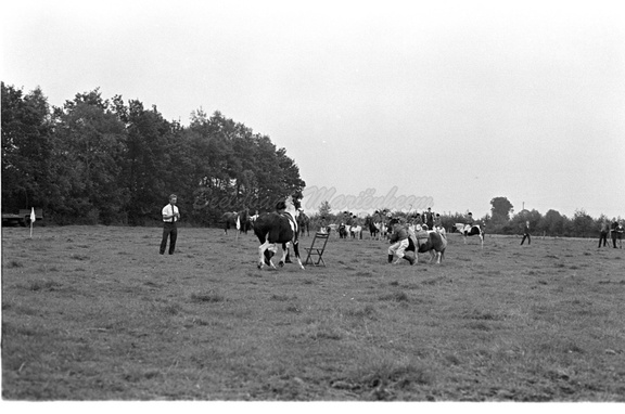 1963,marienheem,ruitersport (6)