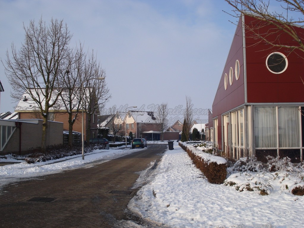 winter 2010.JPG