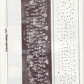 1983 Antoniusschool 50 jaar 0006
