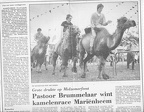 1986-6 kamelenrace