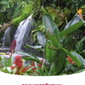 Zonnebloem Marienheem naar Orchideenhoeve Luttelgeest (03)