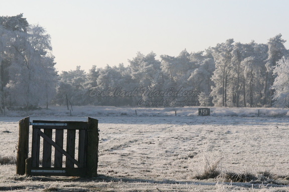 Boetelerveld 048