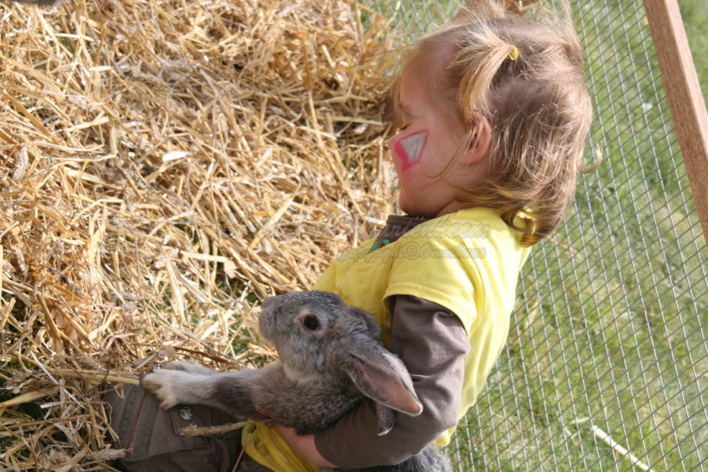kind met konijn-2.JPG