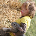 kind met konijn-2