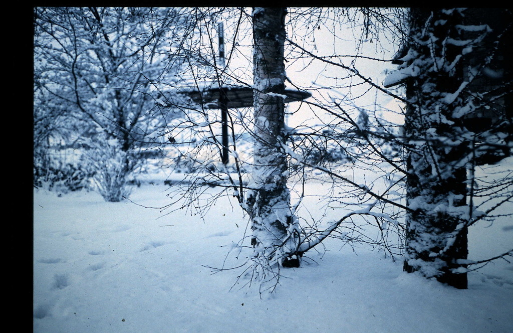 Oude winter- sneeuwfoto's (7).JPG