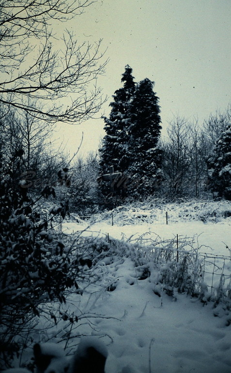 Oude winter- sneeuwfoto's (24)