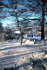 Oude winter- sneeuwfoto's (31)