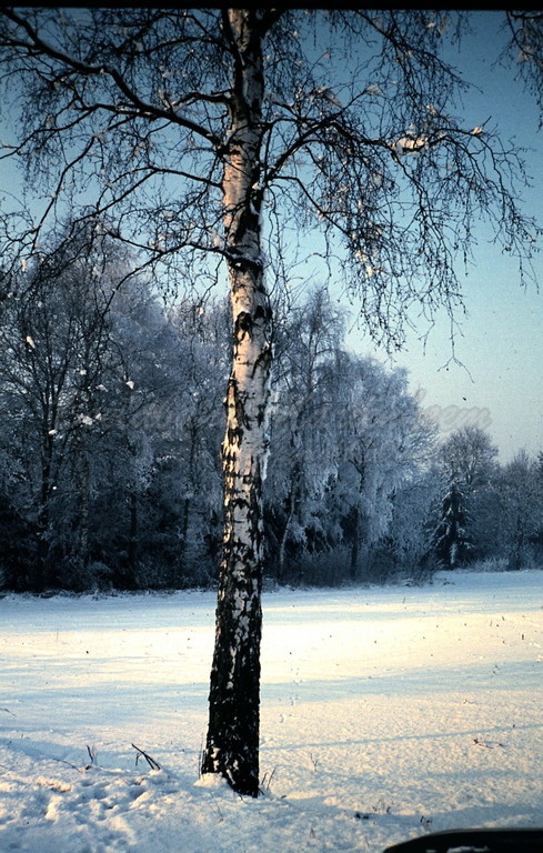 Oude winter- sneeuwfoto's (32).jpg