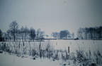 Oude winter- sneeuwfoto's (33)