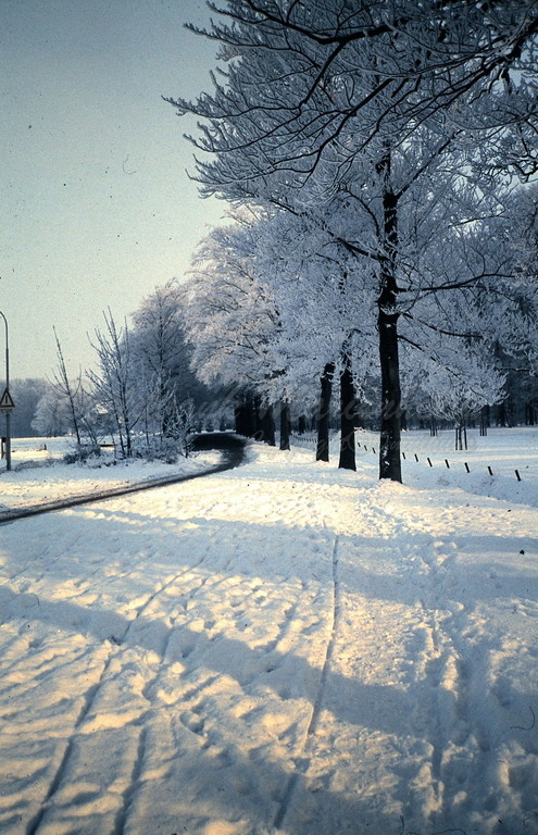 Oude winter- sneeuwfoto's (34).jpg