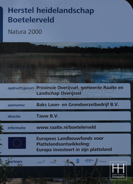 Boetelerveld Anno 2020 - 24.jpg