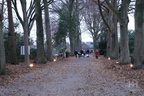 Kabouterbos in voor &amp; vlam met kerst 26